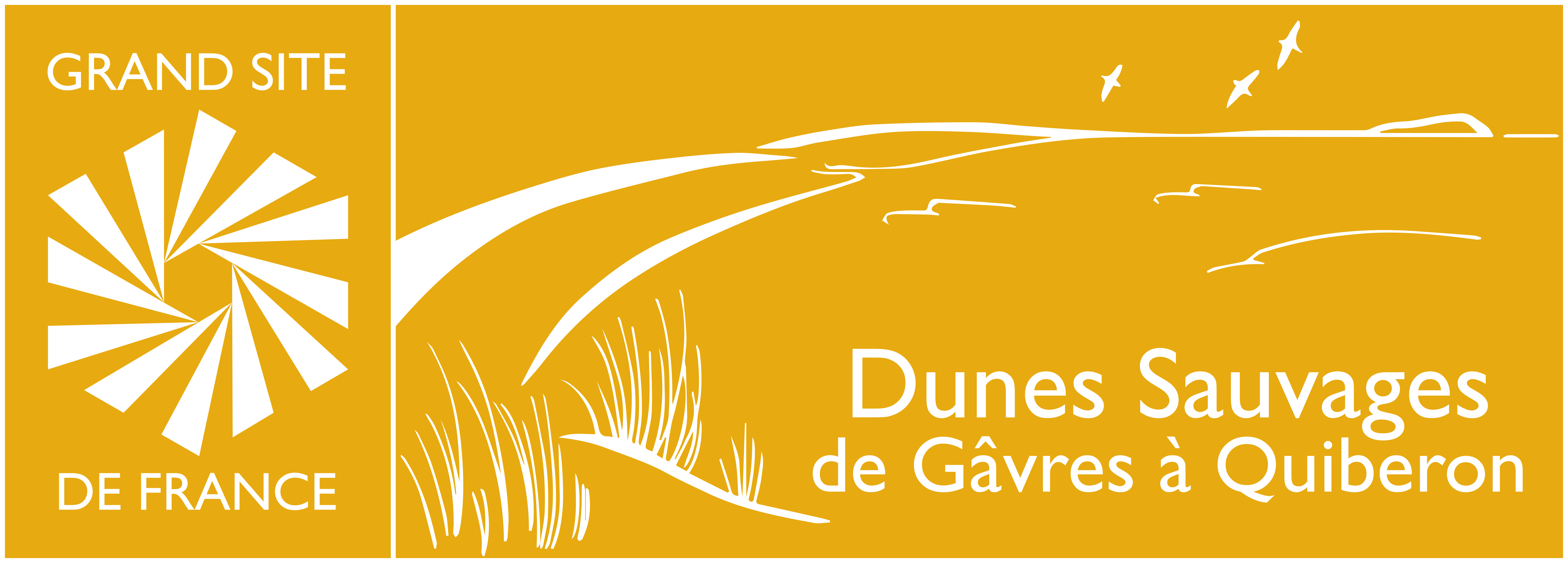 cartouche dunes sauvages gavres quiberon